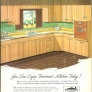 retro green and brown 50s kitchen