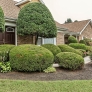 landscaping-retro