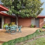 mid-century-house-back-yard