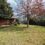 retro-ranch-back-yard