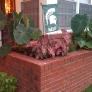 brick-planter
