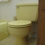 susans-yellow.jpg