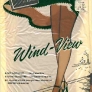 wind-view-seamless-vintage-nylon-stockings