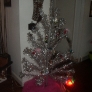 bird-tree