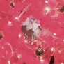 dscn3882