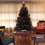 livingtree
