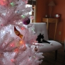 xmas-zappa