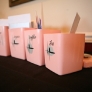 retro-pink-canisters
