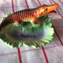 florida-ashtray