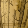 bath_trees-538c00e8f0df860f3b2c1e736e7ddd257e54184d