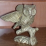 brassowl