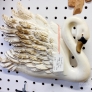 chalkware-swan
