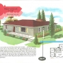 1950s ranch house illustration color