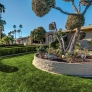 midcentury-landscaping-palm-springs