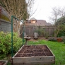 garden-and-back-yard