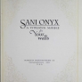 Sani Onyx A Vitreous Marble for Your Walls