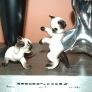 kitties-3df339e25be7e5dd3f18fcda8c69ea521abe94f3