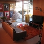eichler-mid-century-modern-living-room-decor