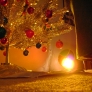 christmas-card-photos-2011-069-2d5241054072f7a3b21feeeac6a79b153e139f07