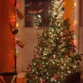 christmas_tree_done7-7fca3bd0697c675e005db69d23c56ea334e5dbf5