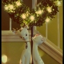 reindeer-26c2d22c40f60dcf3f19e539ad52565a792be954