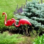 featherstone-flamingo-1