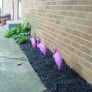 flamingo-garden-09058f5be42740346588d18055dbd657cb969e1c