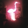flamingo-light-0b14a65957efe2364ffaca9a4cdf6f186a47706f
