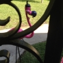 flamingo-mickey-fae646835877168b2a47a4960b0fd451ef93716b