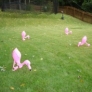 lawn-flamingos-1e45d871e7fe1c62a4d8585ec37a9cb17798280f