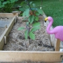 peg_leg_flamingo-054dd5688d12b89c9ba1049a1feede4a4f2ad299