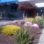san-mateo-20120629-00033-12a0e1ae752b24f9dd58816f62edc2a3cea19832