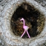 tiny-flamingo-ebfc29cf6179033a7f1cbf21a7026a4affe7b0d2