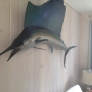 marlinfamily-room-5a905c26b7282c6740542972fcf85b685634e880