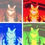warhol-buddy-1c9bb5e49c0ddc7e63d2d9abf04ba53ae307b87a