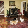tv-cabinet-dogs