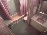 vintage 50s pink bathroom
