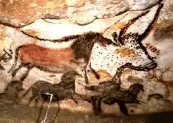 przewalski ponies in lascauex cave