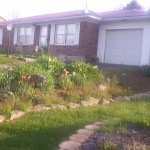 My house. Hattie, my cat, is jumping out of the flowerbed, by the way.