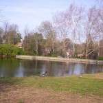 gardenside-015 Duck pond is a pleasant place to go -- to feed the ducks, of course.