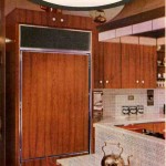 1966-subzero-crop