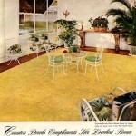 1952-countess-dorelis-wunda-weave-crop