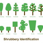 shrubberies