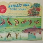michelles-NaturesOwn
