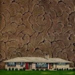 1954-wilton-carpeting