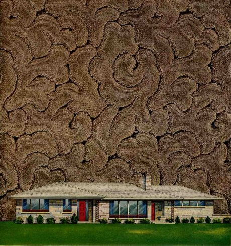 1954-wilton-carpeting