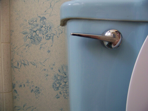 retro vintage wallpaper. And here's Lisa's coordinating toilet, set against vintage blue wallpaper.