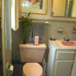 raymonds-pink-and-gray-bathroom