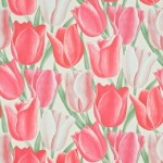 sanderson--early-tulips