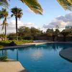 leslie-back-yard-pool-2